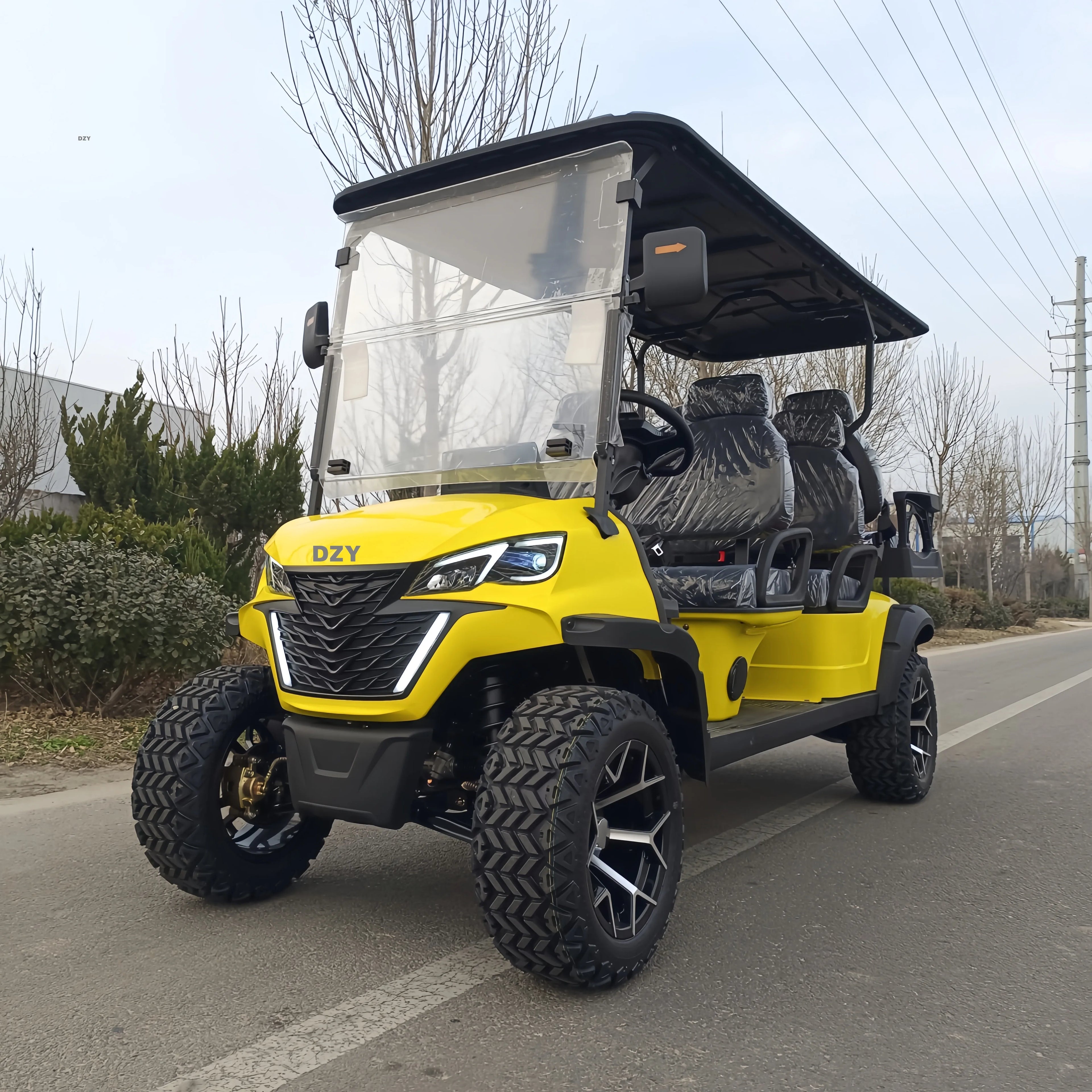 2026 electric golf cart OEM hunting carts new design customizable golf course cart luxury street legal electric sightseeing cart
