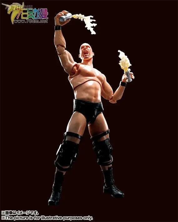 BANDAI Original S.H.Figuarts WWE The Rock (Dwayne Johnson) Movable Action Figure Collectible Model Toy Gift for Boys