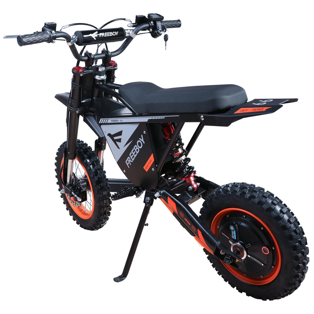 FREEBOY Y66 E-bike 3000W Motor 48V30AH Battery Electric Bike Max Speed: 55KM/H 12/10-In All-terrain Fat Tires Electric Bicycle