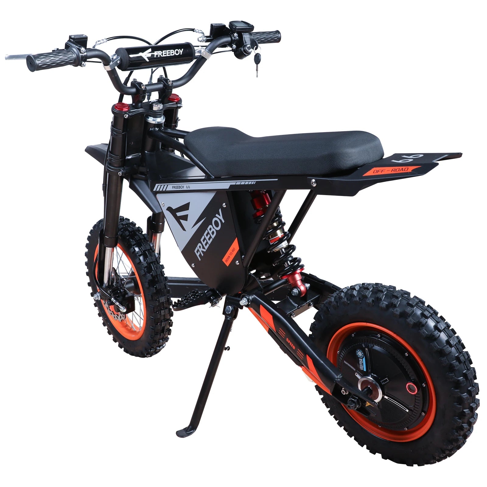 FREEBOY Y66 E-bike 3000W Motor 48V30AH Battery Electric Bike Max Speed: 55KM/H 12/10-In All-terrain Fat Tires Electric Bicycle