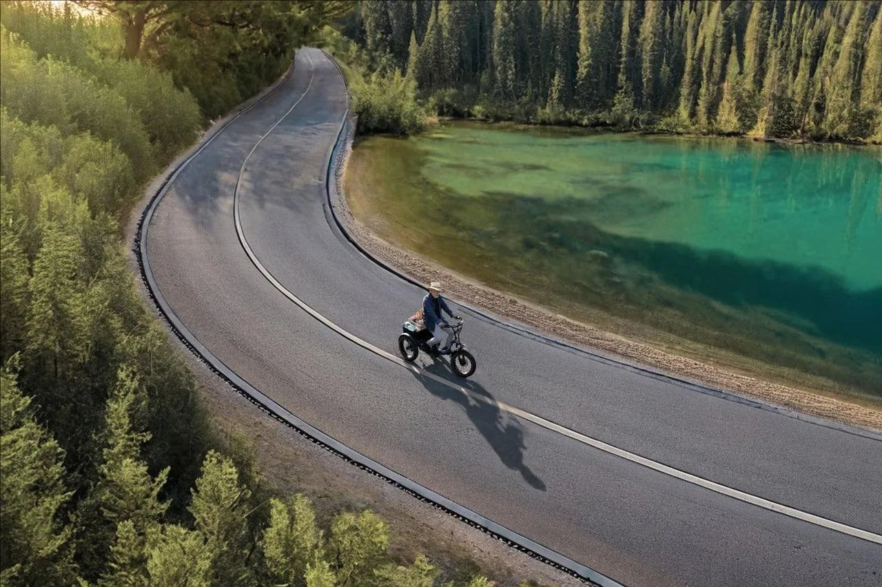 Electric Tricycle for Adults Fat Tire 3 Wheel Electric Trike 960W 55Miles E-Bike