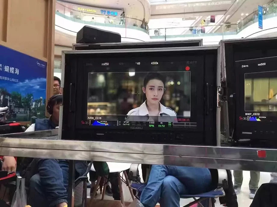 Seetec P173-9HSD-CO 17.3 Inch IPS 3G-SDI HDMI Broadcast Monitor with AV YPbPr Carry-on LCD Director Monitor with Suitcase