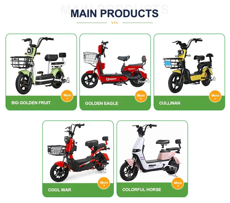 High-end High Quality 36V Mid Drive Electric City Bike 250W Power 48V Snow Model 15ah Cheap China Mid Motor Central Positi