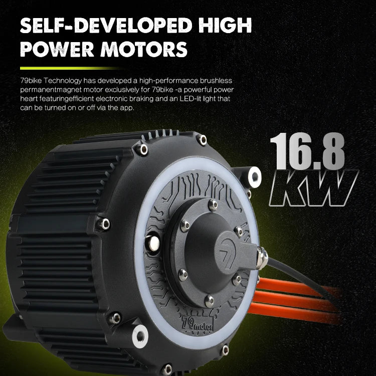 Electric Dirt Bike Top Speed 95KM/H 16.8KW Dirt E Bike 79Bike GT 120KM Long Range