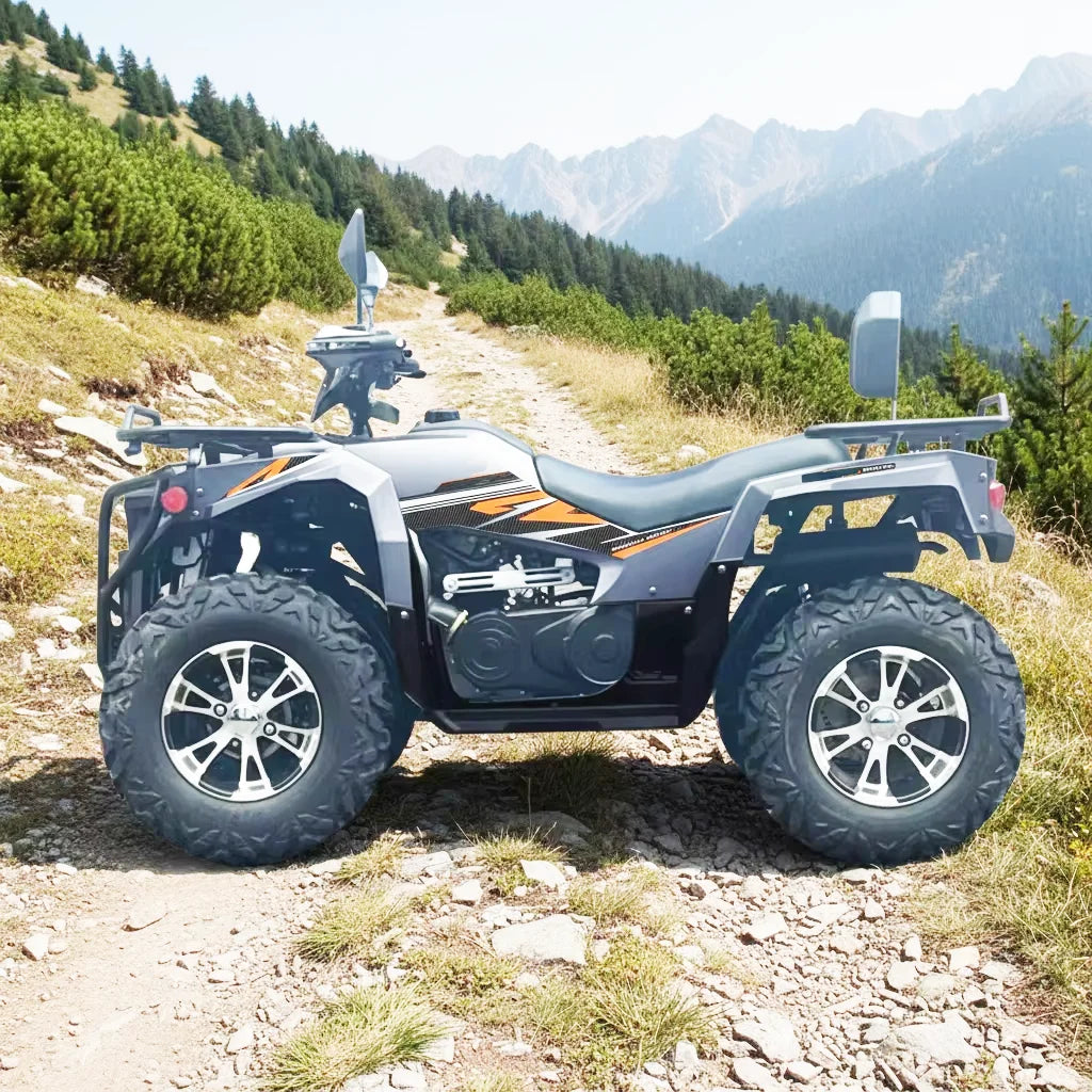 Adult Off-Road Quad Bike Sport ATV 200/300/350/400cc 4x2/4x4 Farm ATV