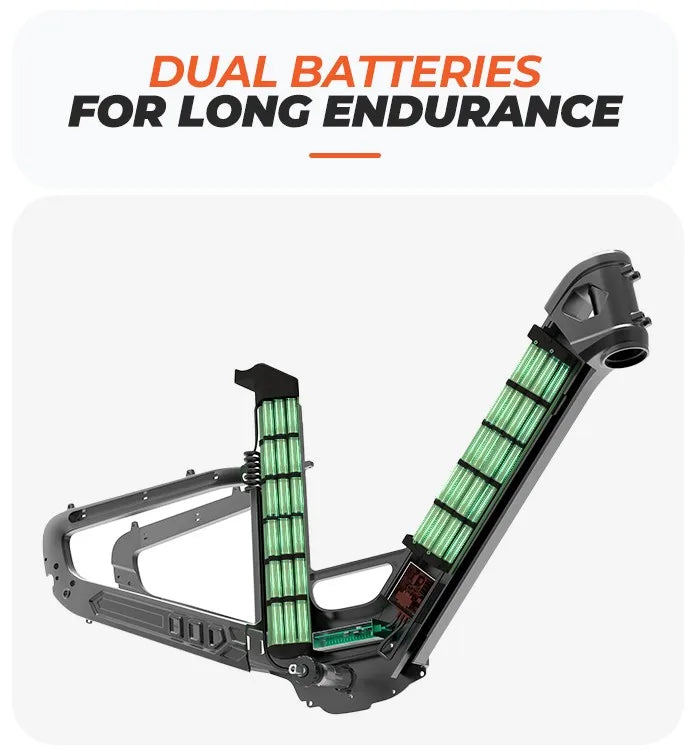 Dual battery 900W Carbon fiber frame E-bike 48V 19.2AH 26" E-Mountain Bike City