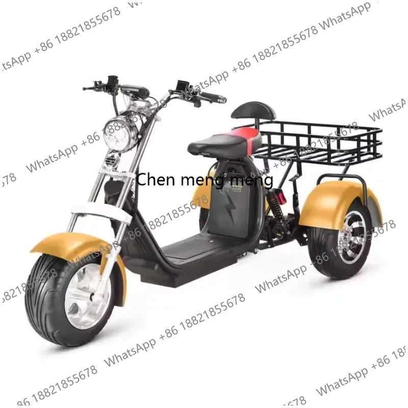 D185 Clark is hot selling Adult Three Wheel Bicycle Lithium Battery Tricycle 3 Wheel Electric  Citycoco
