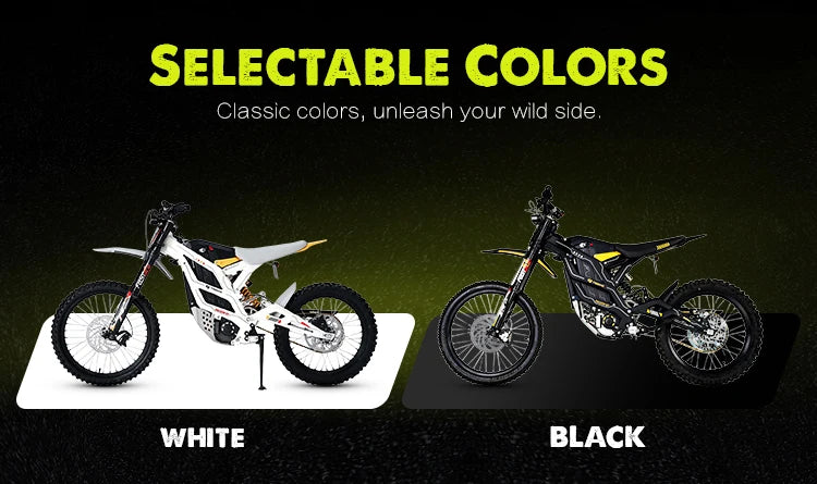 Electric Dirt Bike Top Speed 95KM/H 16.8KW Dirt E Bike 79Bike GT 120KM Long Range