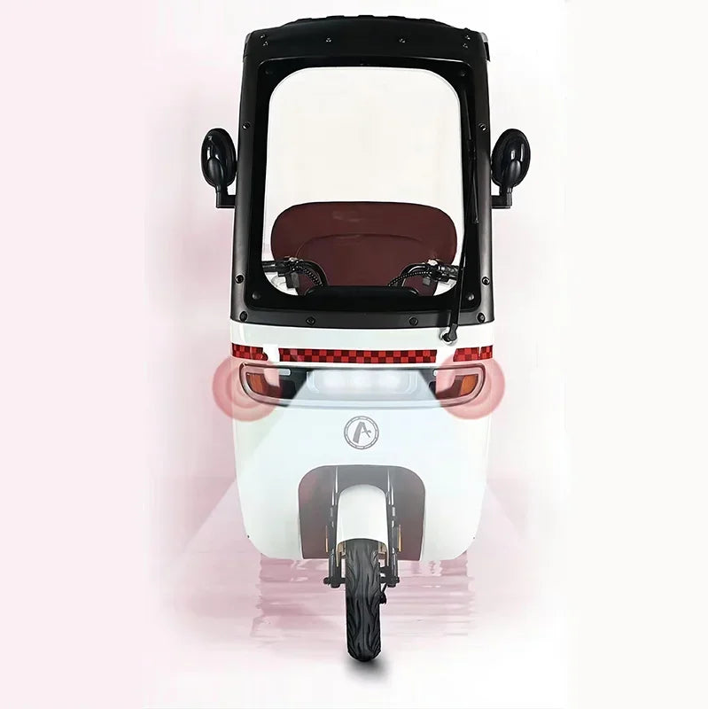 cargo electric tricycle  tricycles for adults 3 wheel motorcycle   800W