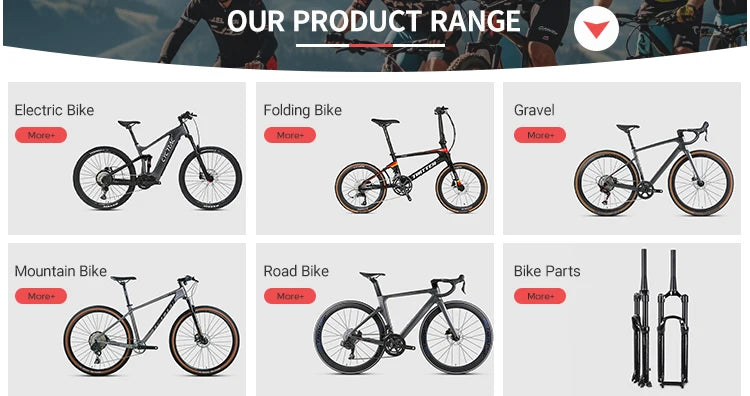 Hot Selling CYCTRAC Electric Bicycle Carbon Fiber Frame Electric Bike 29 Inch Electric Mountain Bike With Full Suspension
