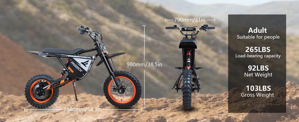 FREEBOY Y66 E-bike 3000W Motor 48V30AH Battery Electric Bike Max Speed: 55KM/H 12/10-In All-terrain Fat Tires Electric Bicycle