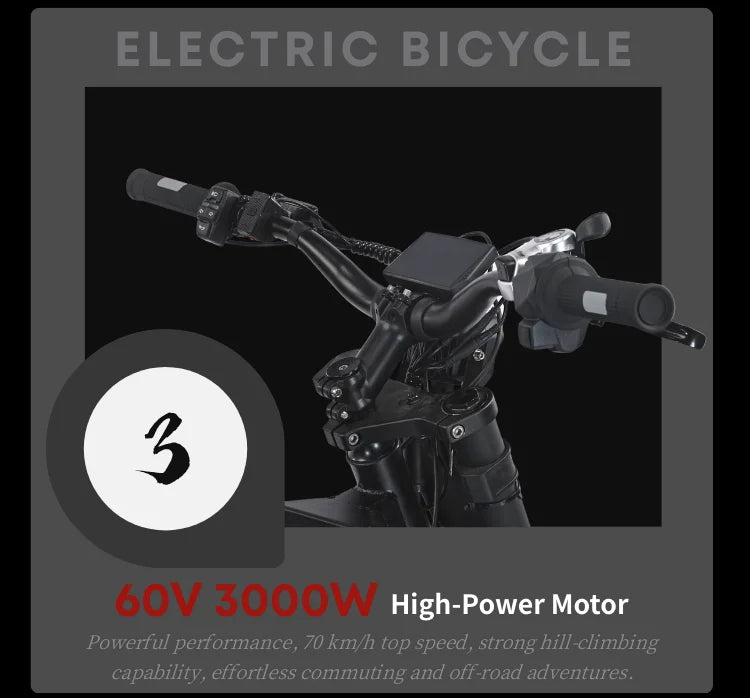 Diton S-300 60V 3000W Electric Bike | 25Ah Remote Battery | Powerful Motor, Off-Road Electric Bike for Outdoor Lovers