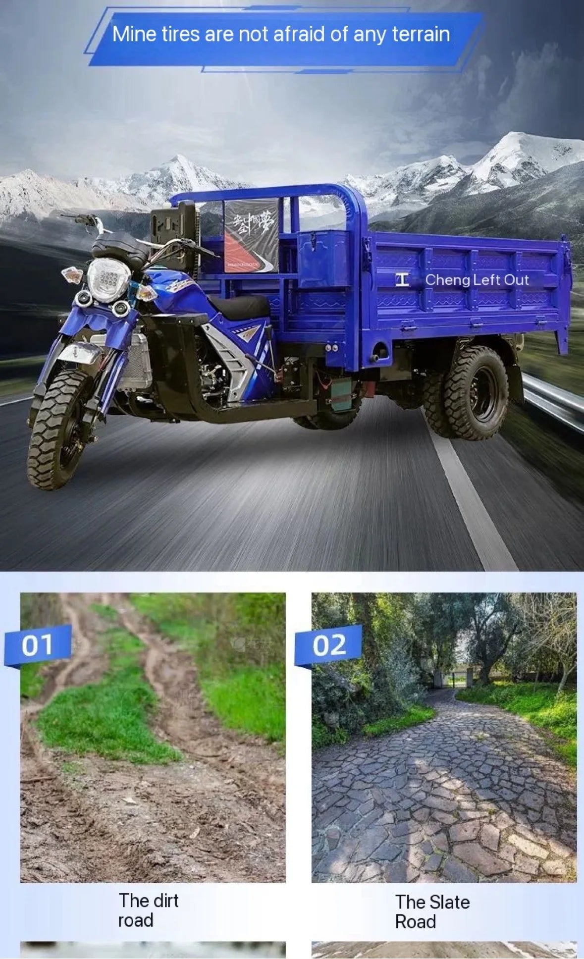 250cc 350cc Dump Cargo Motor Tricycle Motorcycle for Adults Petrol Fuel