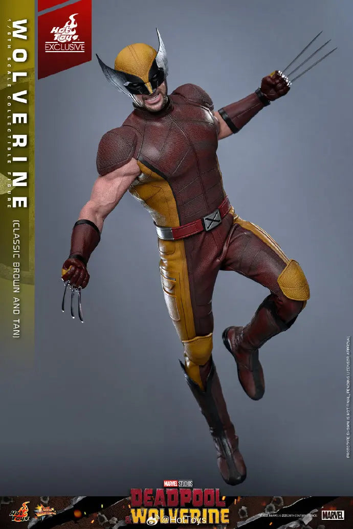 In Stock HotToys MMS831 Wolverine Classic Brown and Tan 1/6 Soldier Figure Animation Action Figure Toy Gift Model Collection