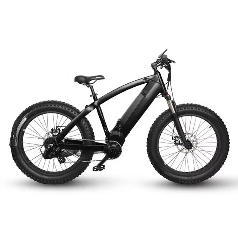 SXLL 2023 electric city bicycle 48v electric mountain bike full suspension 14ah eight square 1000w m620 fat tire family electric