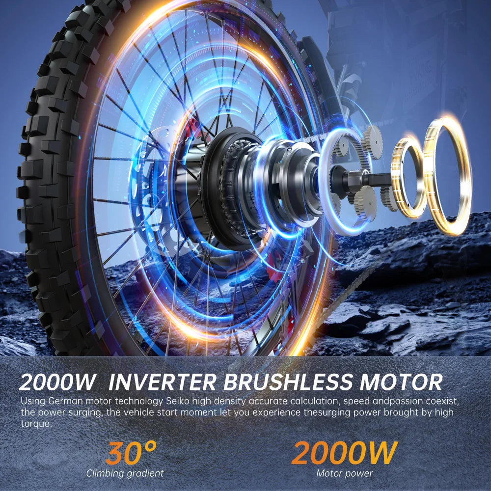 FVKING E6 Electric Bike Adults 2000W Peak Gear Hub Motors Electric Motorcycle 52V33AH Battery Speed 60Kmh Mountain E-bikes GT73