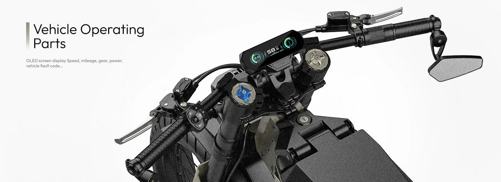 SLDBK Electric Motorcycles 8600W Peak Electric Bike New Adult Off Road Ebike Electric Dirt Bike 72V50AH Lithium Battery E-bike
