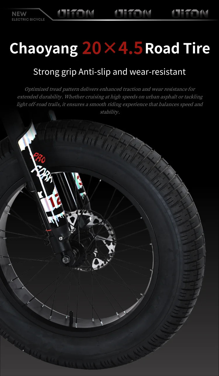 Diton S-300 60V 3000W Electric Bike | 25Ah Remote Battery | Powerful Motor, Off-Road Electric Bike for Outdoor Lovers