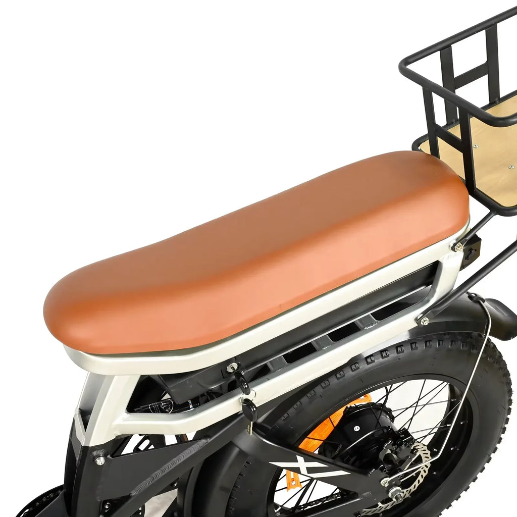 Baolujie DP2033 Electric Bicycle 2000W Dual Motor 48V30AH Lithium Battery E-bike 20*4 Inch Fat Tire Mountain Cargo Electric Bike