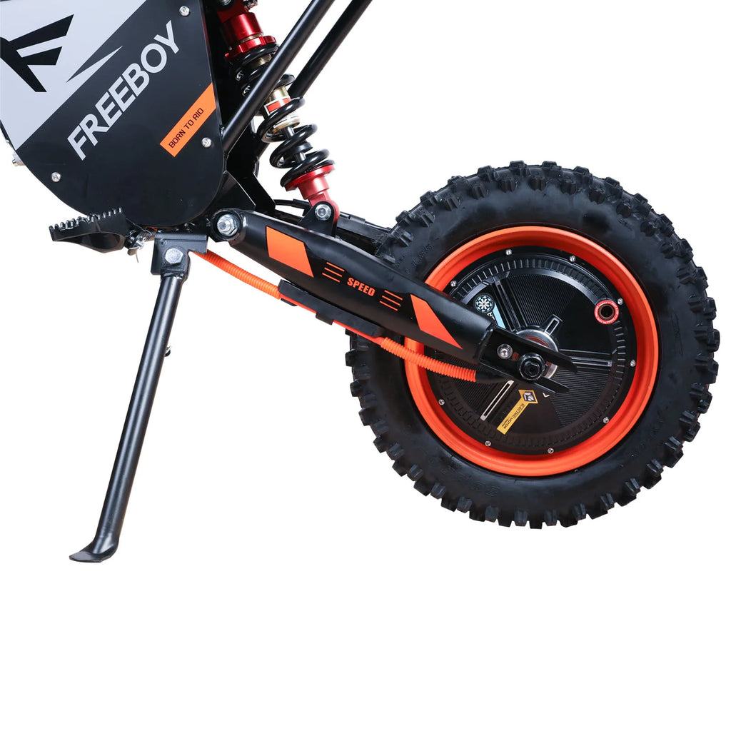 FREEBOY Y66 E-bike 3000W Motor 48V30AH Battery Electric Bike Max Speed: 55KM/H 12/10-In All-terrain Fat Tires Electric Bicycle