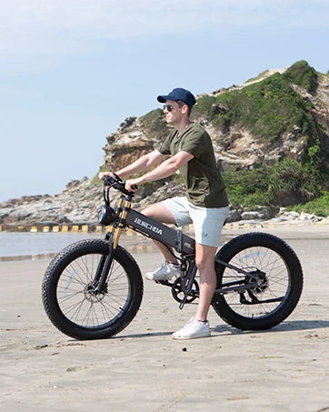 Electric Bike for Adults 1500W Peak 30 MPH E-Bike 65 Mile, 48V 20Ah Removable Battery, 26" Fat Tire Electric Dirt Bike, Full Sus
