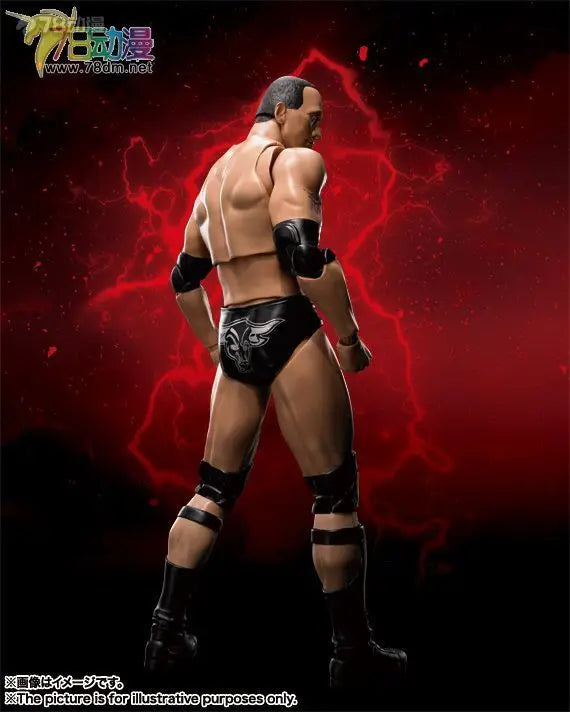 BANDAI Genuine S. H. Figuarts Series Reality Artist Series WWE Kane，Paul Levisk，Steve Austin，Dwayne Johnson Movable Model