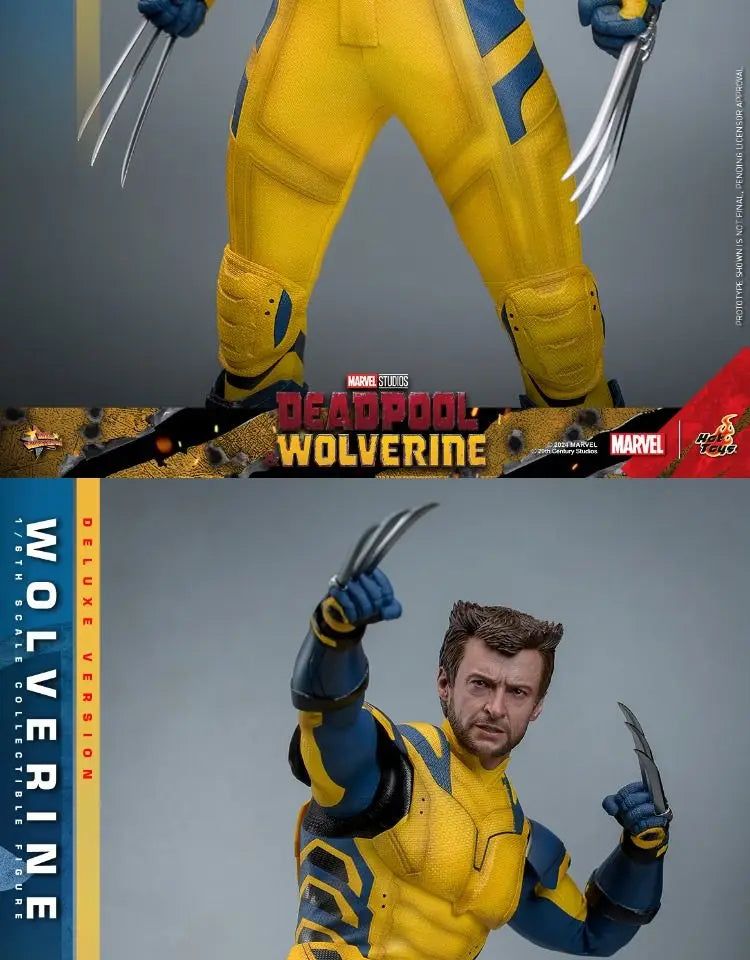 Hottoys Wolverine 1/6 Scale Action Figure MMS754 Deluxe Edition Deadpool And Wolverine Marvel Movie Collectible For Adult Fans