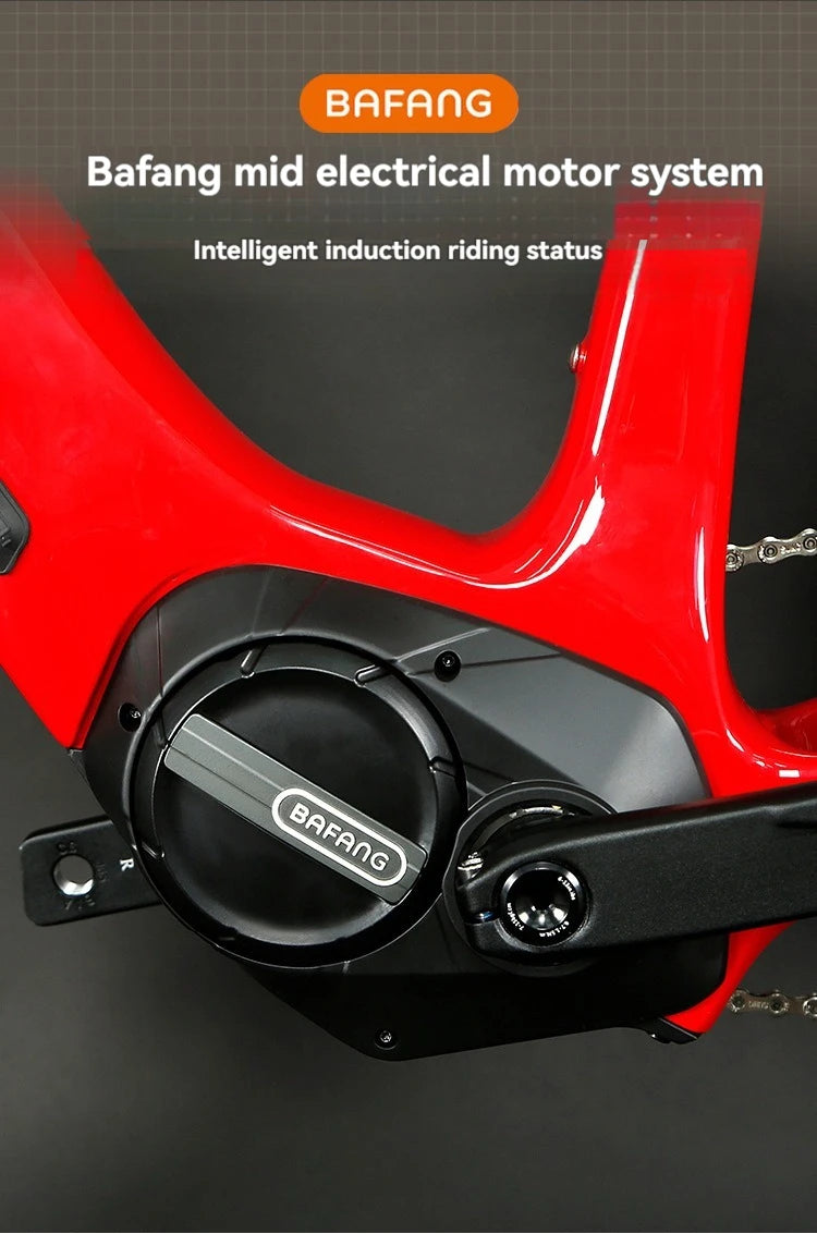 Top Quality Carbon Electric Bike Bafang M510 Mid Motor 250W Mountain Bicycle 29 Inch EMTB With Hidden Battery For Men