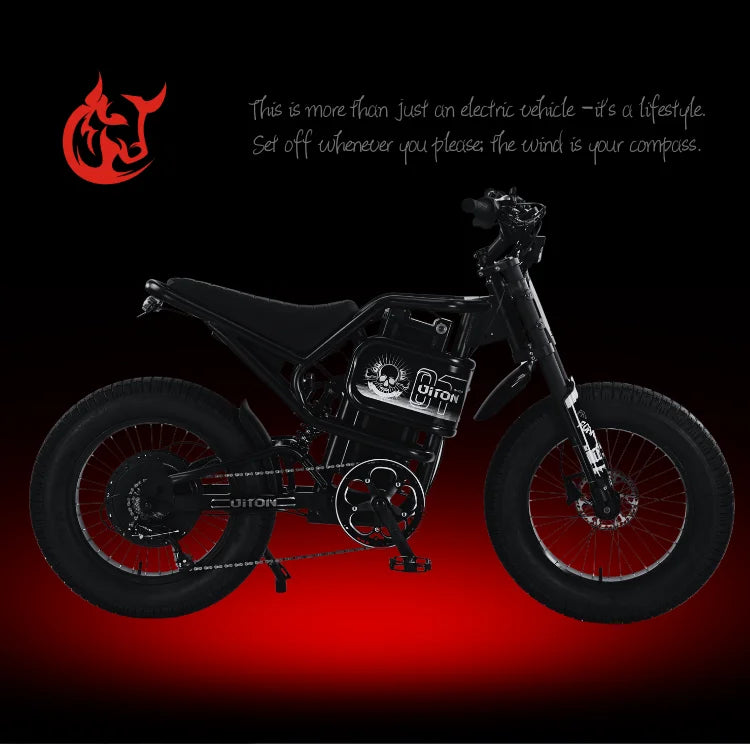 Diton S-300 60V 3000W Electric Bike | 25Ah Remote Battery | Powerful Motor, Off-Road Electric Bike for Outdoor Lovers