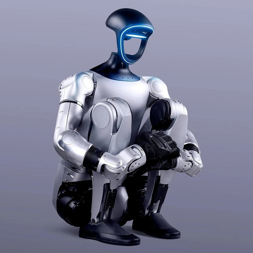 Standard Edition, Interactive Bionic Humanoid Biped Robot