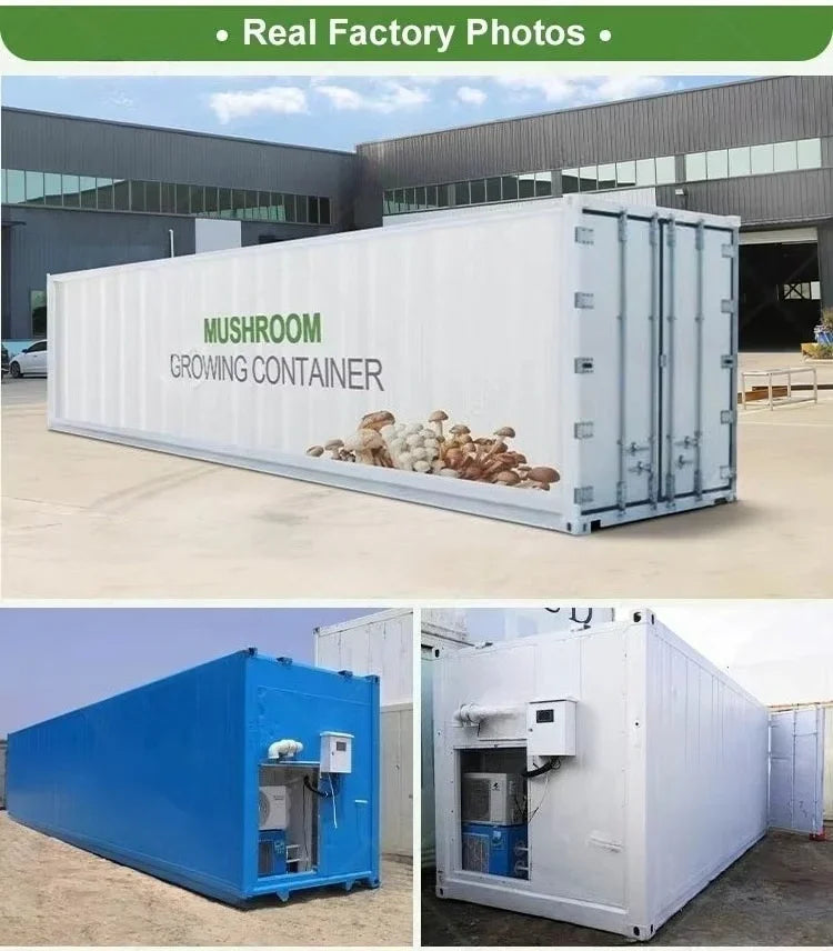 Customized 20ft 40ft Container Farm, Hydroponic Growing System Agricultural Greenhouse for Mushroom Production
