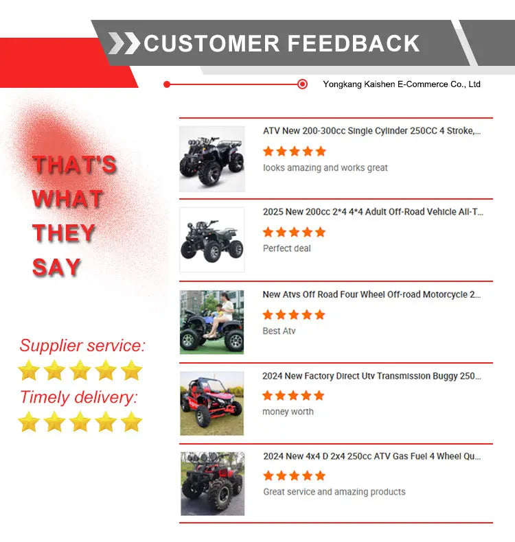 2026 New 300cc Automatic 2wd 4wd Atv Quad Bike Electric Start C f Motocc Atv 4x4 Cforce Shaft Drive Atv for Sale