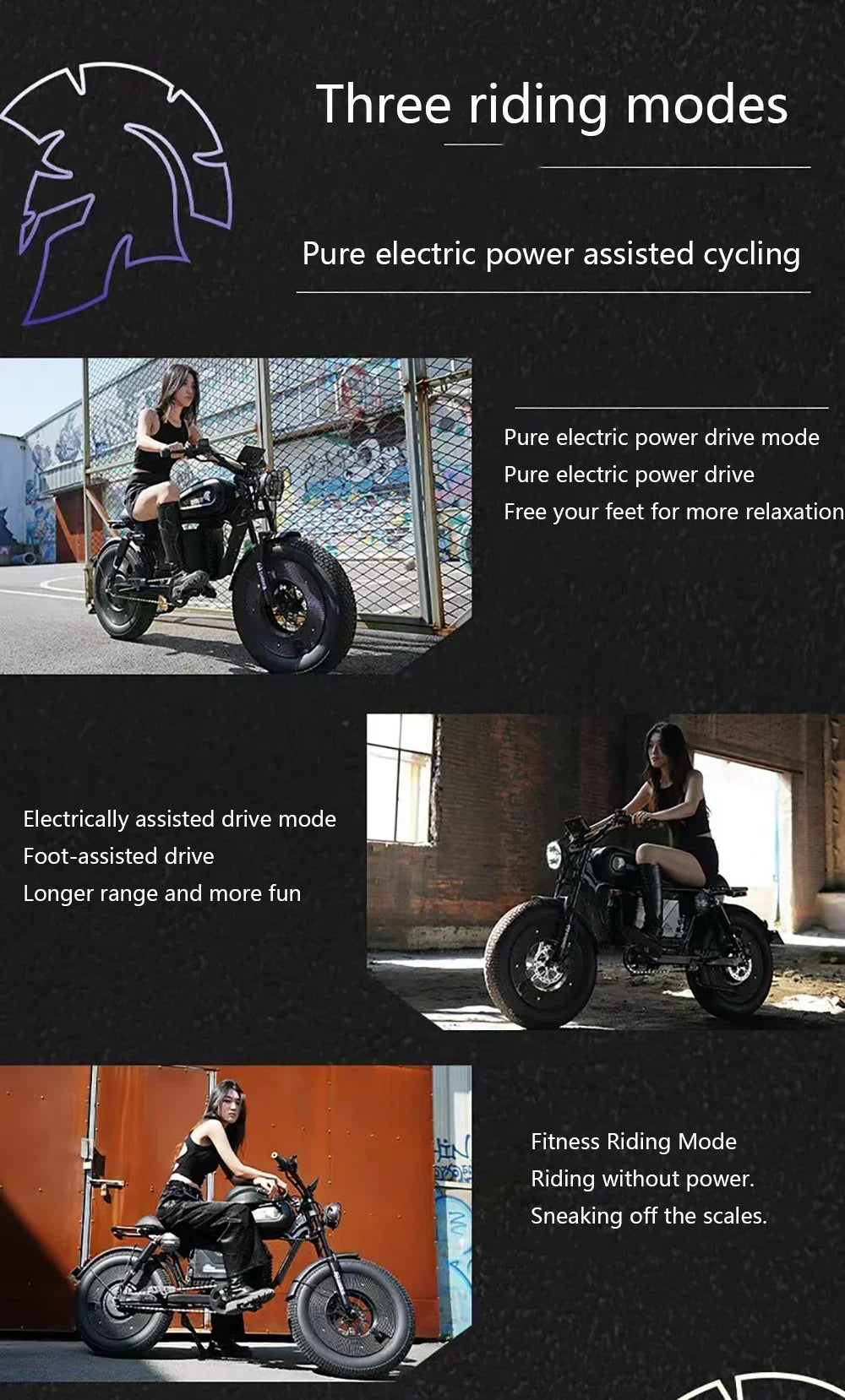 Ebike ZPW Black Warrior 3000W 60V 45AH Camping Motorcycle, Adult Electric Bike 20 Inch Fat Tire Electric Bike