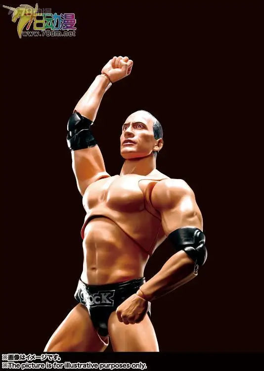 BANDAI Genuine S. H. Figuarts Series Reality Artist Series WWE Kane，Paul Levisk，Steve Austin，Dwayne Johnson Movable Model