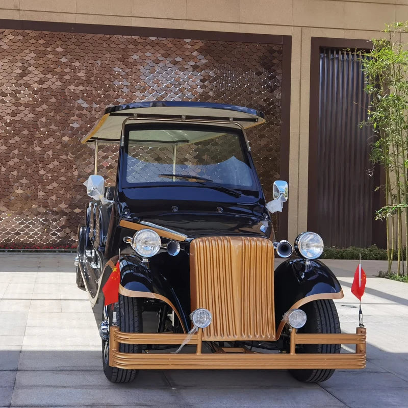 8 seats of the latest popular Chinese electric classic car electric car for sale