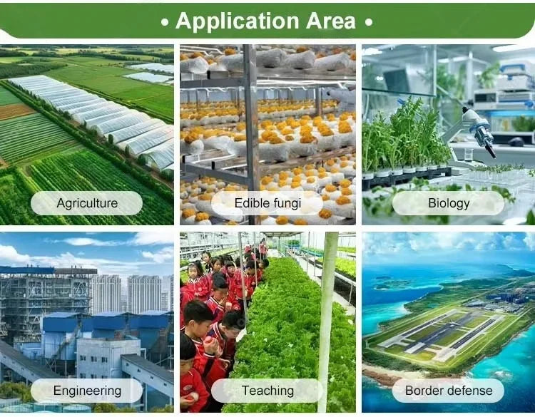 Customized 20ft 40ft Container Farm, Hydroponic Growing System Agricultural Greenhouse for Mushroom Production