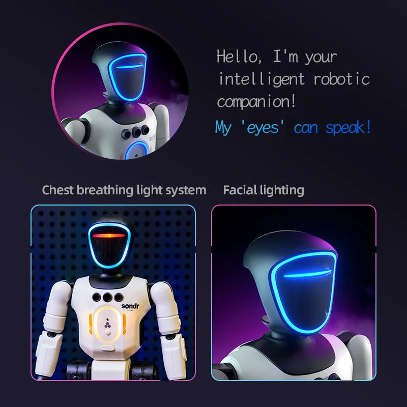 Smart Programming Humanoid Gesture Sensing Remote Control Robot 2.4G Joint Mobility Breathing Light Recording Function RC Robot