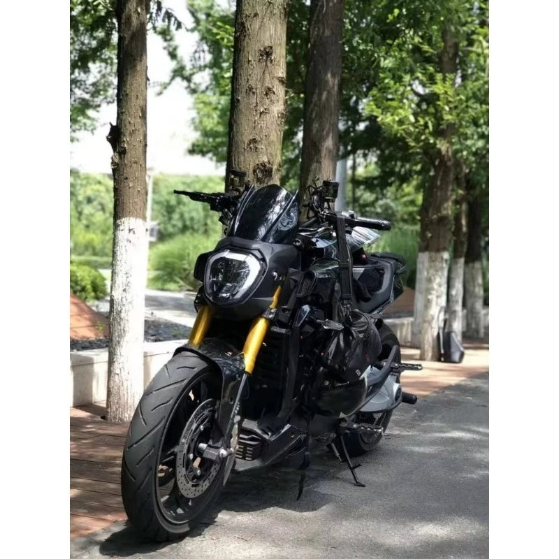 Maximum speed 160 km/h electric motorcycle motorcycle with lithium battery, with single swing arm motorSXLL
