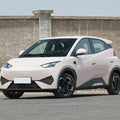 Electric vehicles, new energy vehicles, practical goods