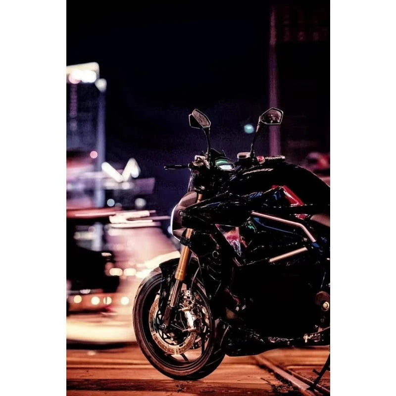 Maximum speed 160 km/h electric motorcycle motorcycle with lithium battery, with single swing arm motorSXLL
