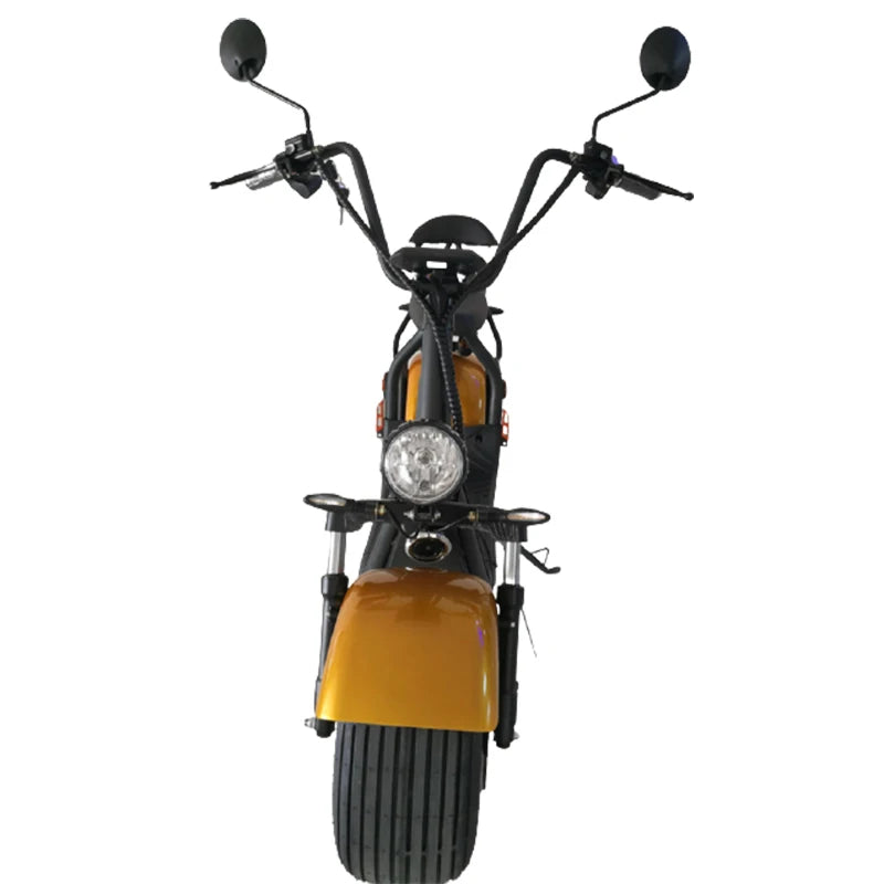 Electric scooter lithium ion battery e scooter eec coc 1500w golf scooter