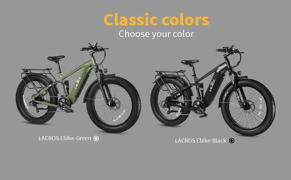 Lacros Thunder adult E-bike，750W city ebike，48V20AH Electric Bicycle，26 Fat Tire E-Mountain bike