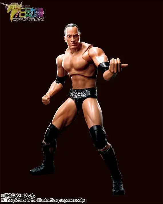 BANDAI Genuine S. H. Figuarts Series Reality Artist Series WWE Kane，Paul Levisk，Steve Austin，Dwayne Johnson Movable Model