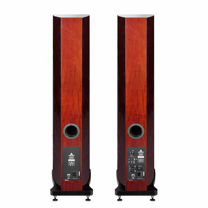 AURUM CANTUS Harmony Mini DSP Electronic Frequency Division Active HIFI Speaker 3 Way 3 Unit 3 Power Amplifier