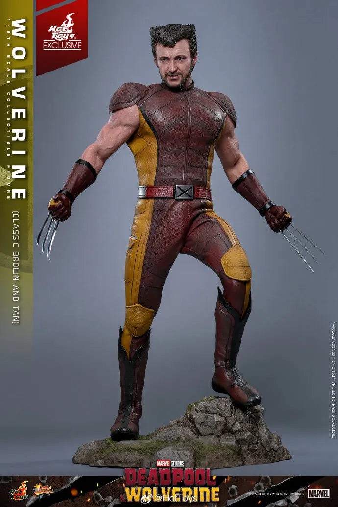 In Stock HotToys MMS831 Wolverine Classic Brown and Tan 1/6 Soldier Figure Animation Action Figure Toy Gift Model Collection
