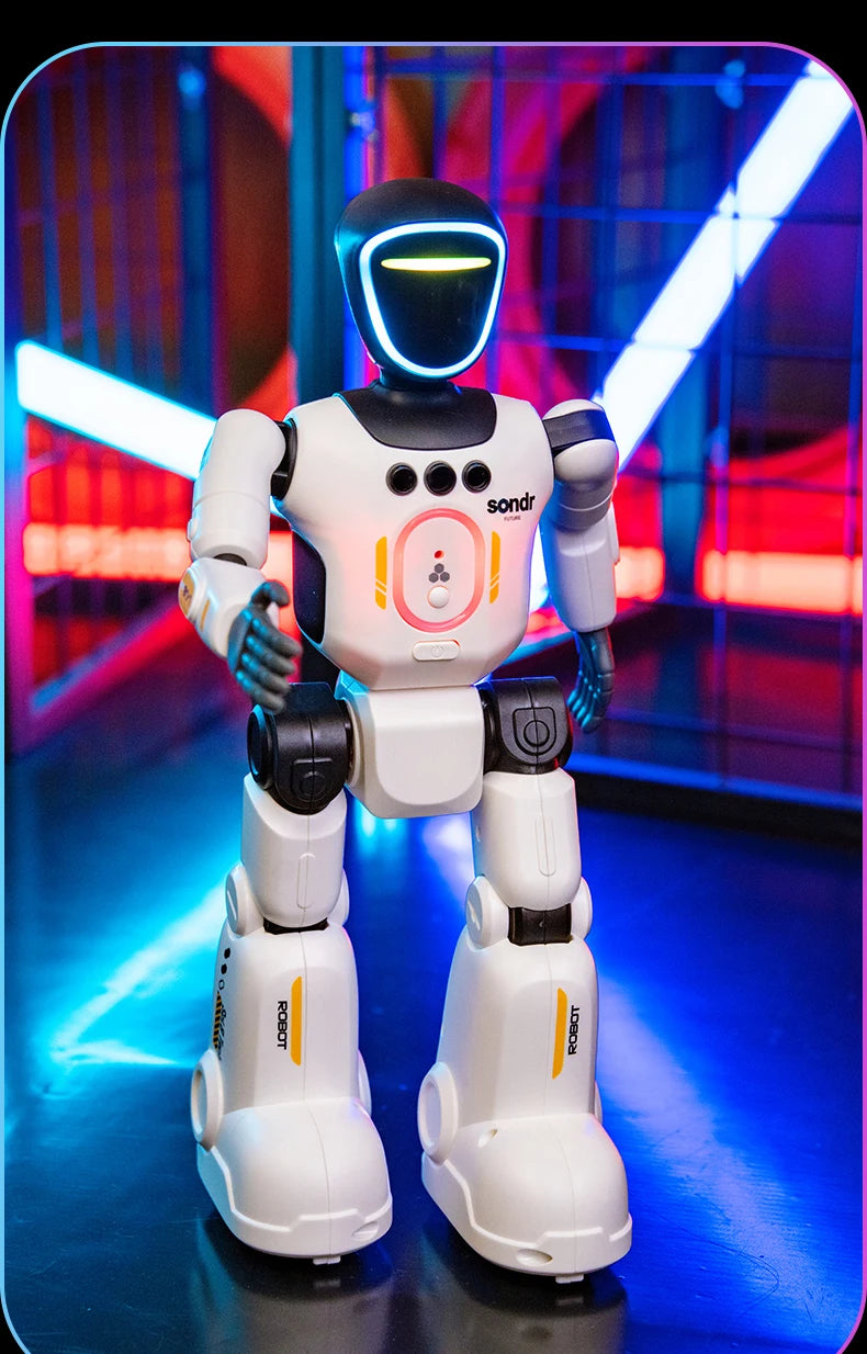 Smart Programming Humanoid Gesture Sensing Remote Control Robot 2.4G Joint Mobility Breathing Light Recording Function RC Robot