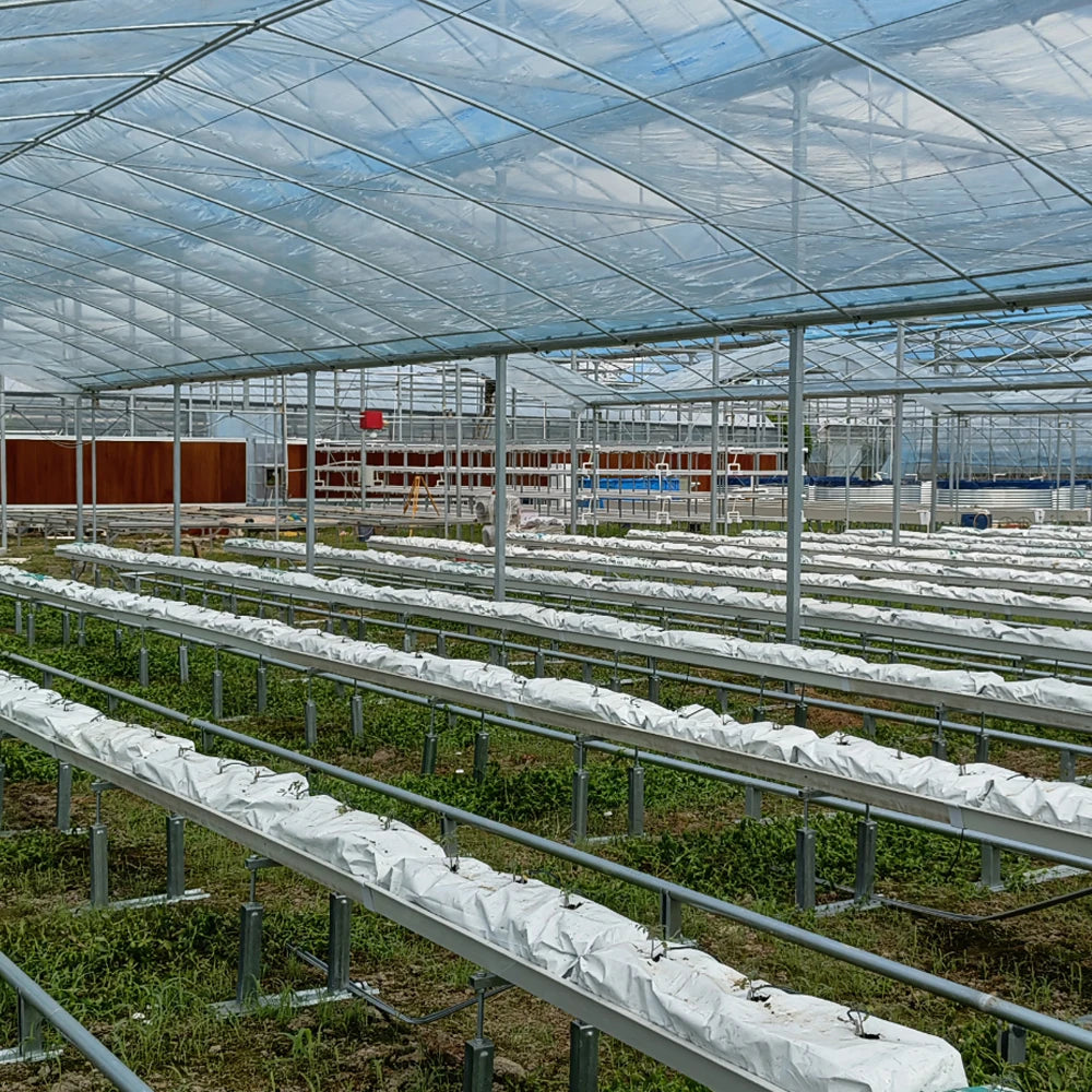 Vege and Aquaculture Integrated Recyclable Greenhouse Aquaculture System