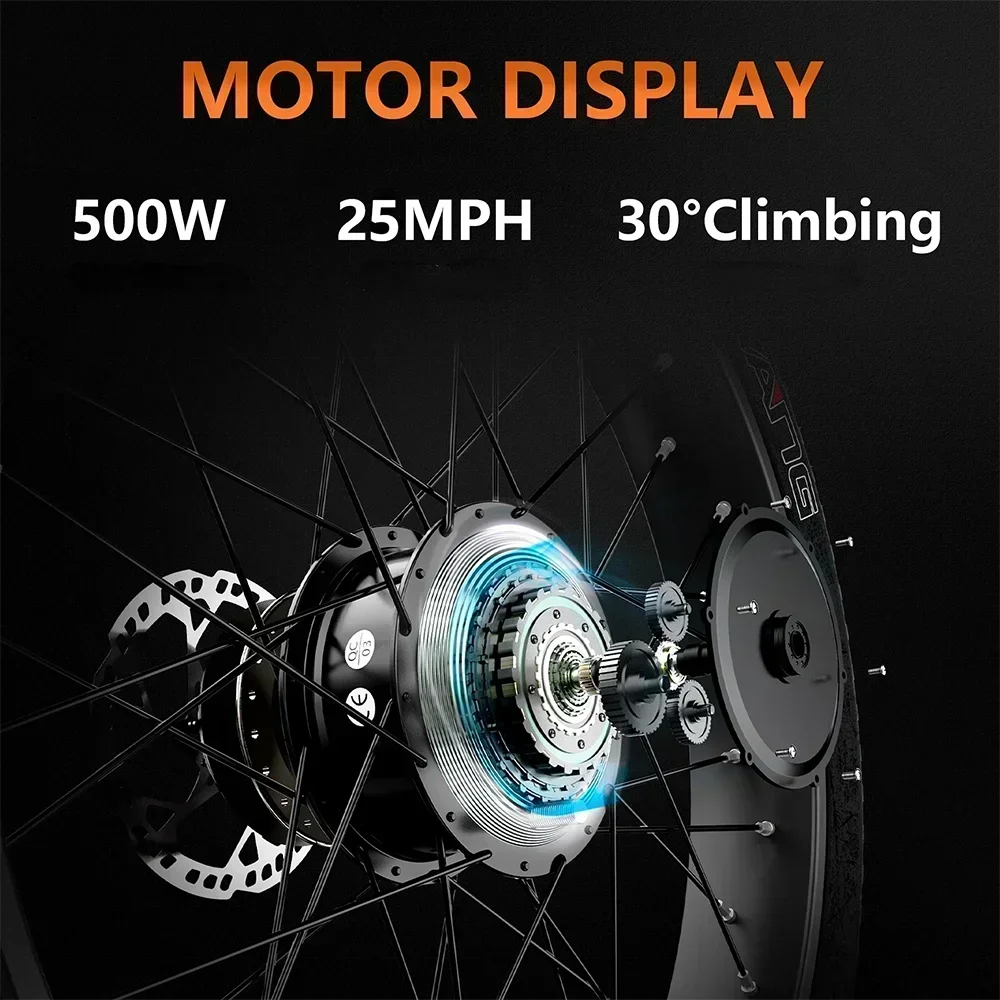 Adult 3-Wheel Electric Cargo Bicycle 500W Motor 48V15AH Battery 40km/h 24 Inch Tire Delivery E-Bike for Transport And Cargo