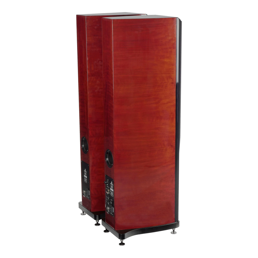 AURUM CANTUS Harmony Mini DSP Electronic Frequency Division Active HIFI Speaker 3 Way 3 Unit 3 Power Amplifier
