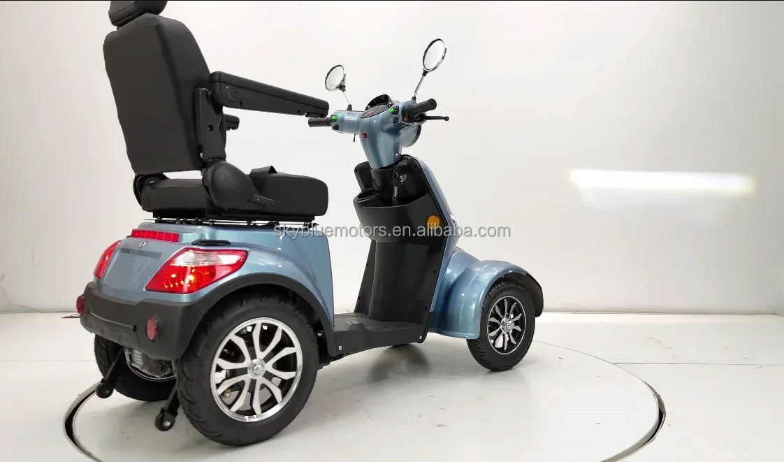 2025 New Den Electric Moped Scooter 1000W Electric 25Kmph Speed  OEM Mobility Scooter For Adults 4 Wheels